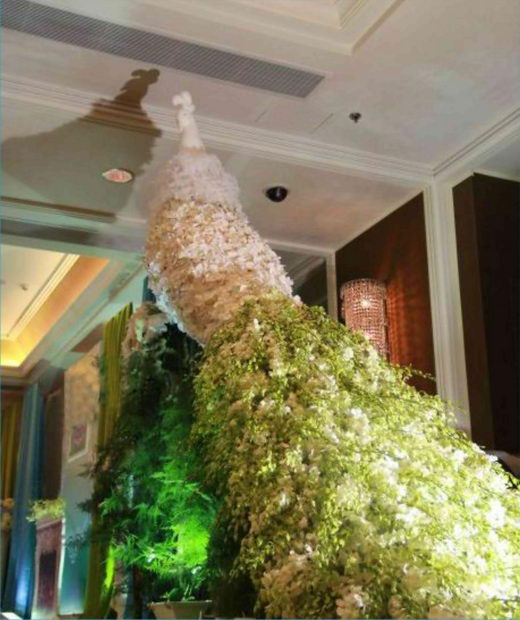 ��ͼ������ϵ3888Ԫ���Ƚ�����